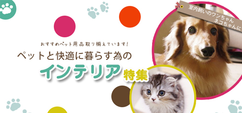 和歌山 DIY＆リフォームショップREROOM【ペット特集 滑り止め】